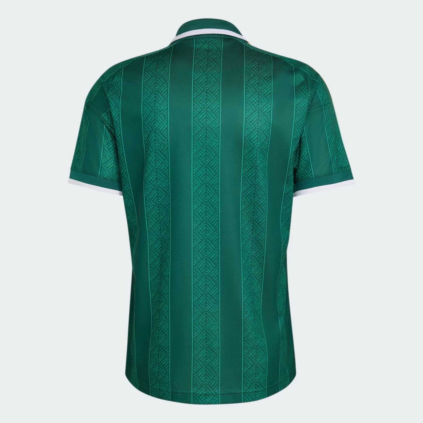 Camisa África do Sul 2026 II