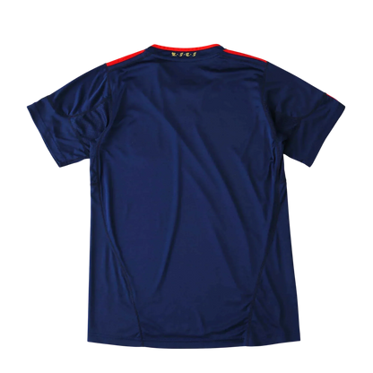 Camisa Espanha II 2010