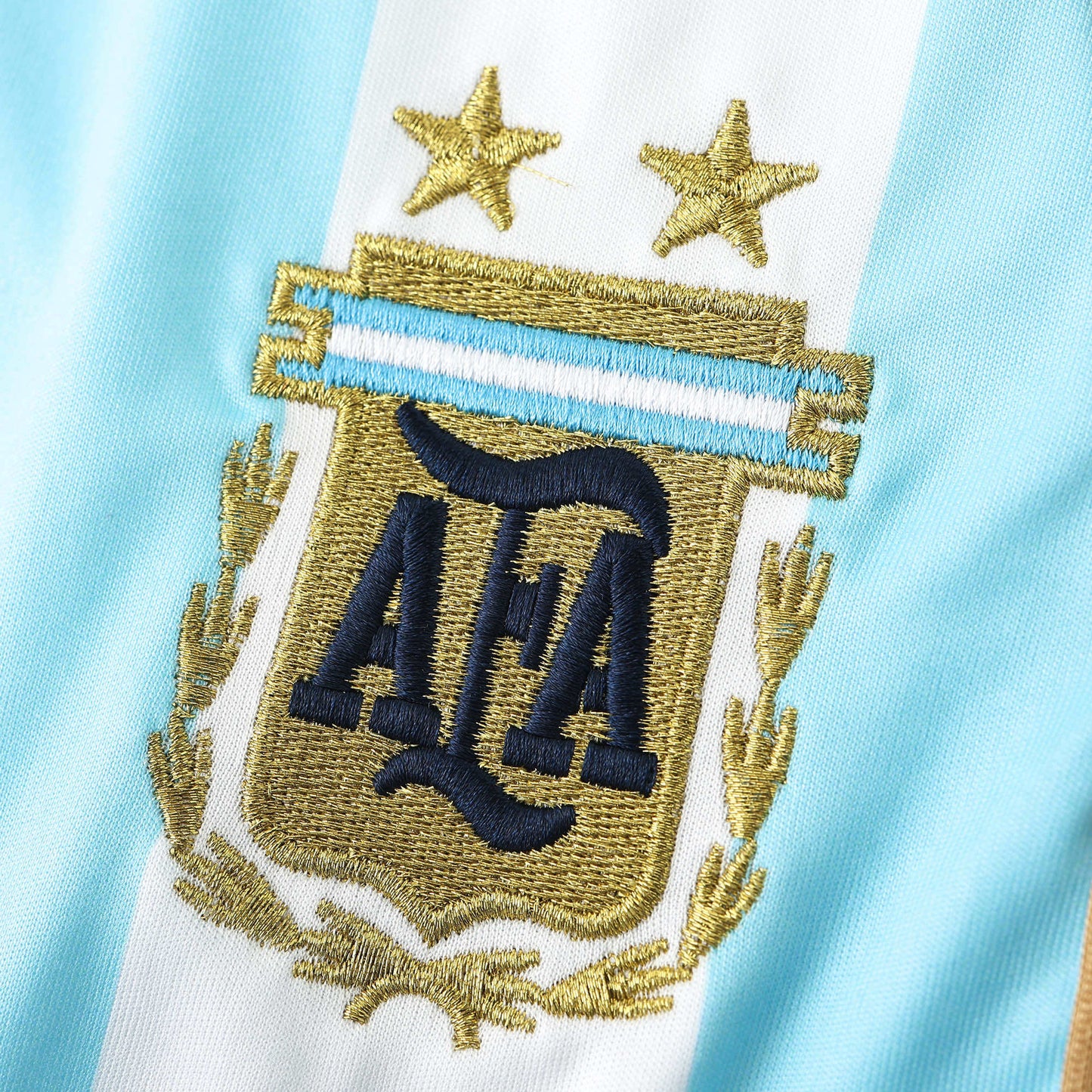 Camisa Argentina I 2006 Manga Longa