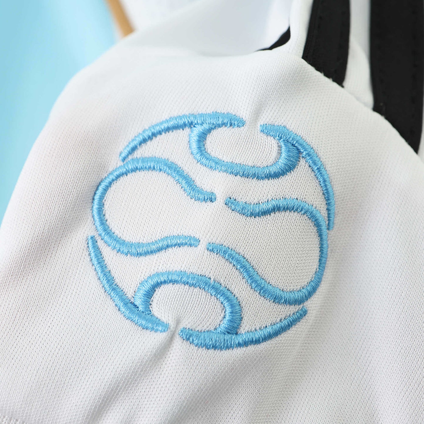Camisa Argentina I 2006 Manga Longa