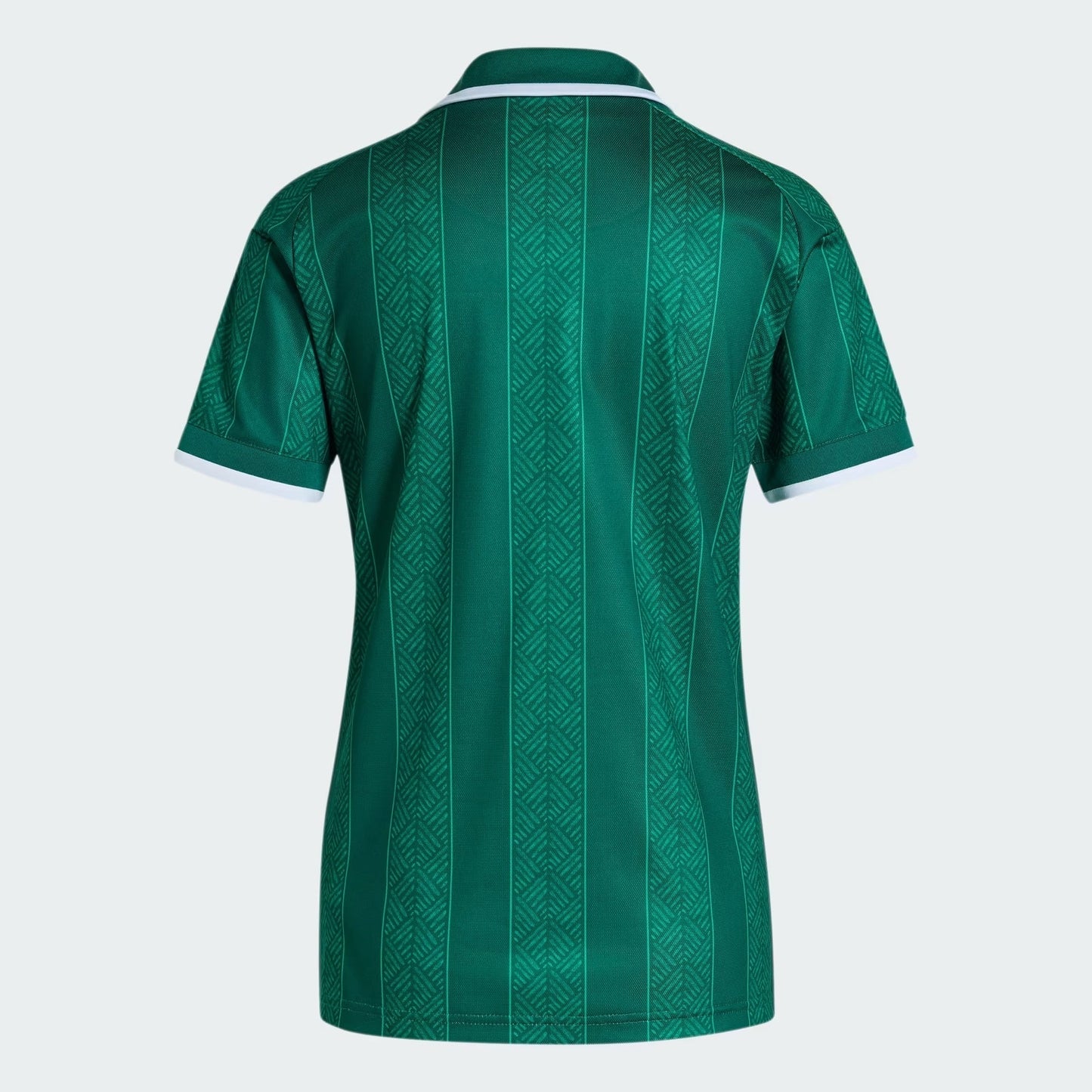 Camisa África do Sul 2026 II Feminina