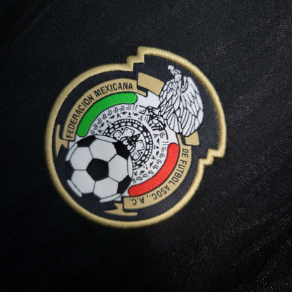 Camisa México II 2010