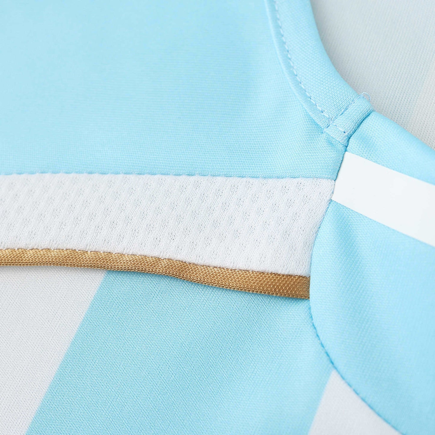 Camisa Argentina I 2006 Manga Longa